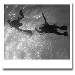 Divers Up  -  Saipan by M.E. Dalsaso 